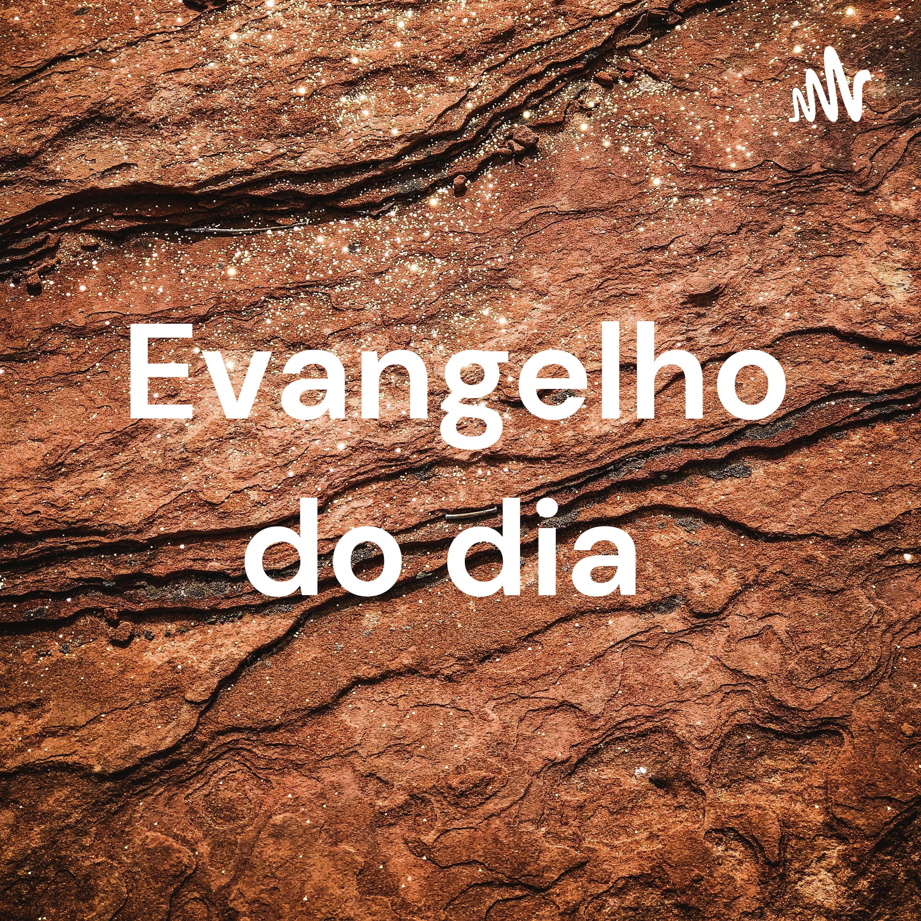 Cover image of Evangelho do dia podcast