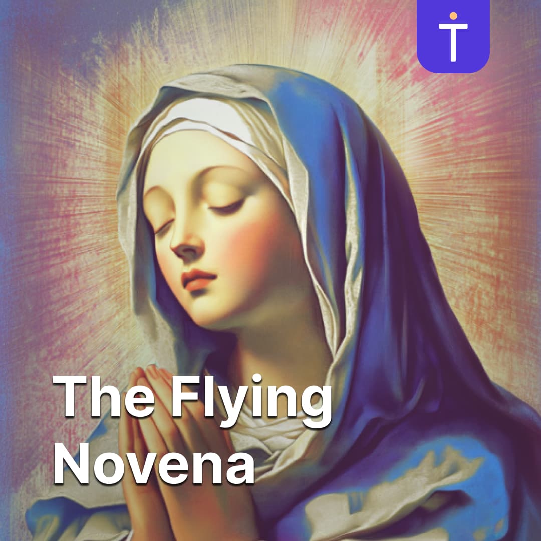 Cover image of Flying Memorare podcast