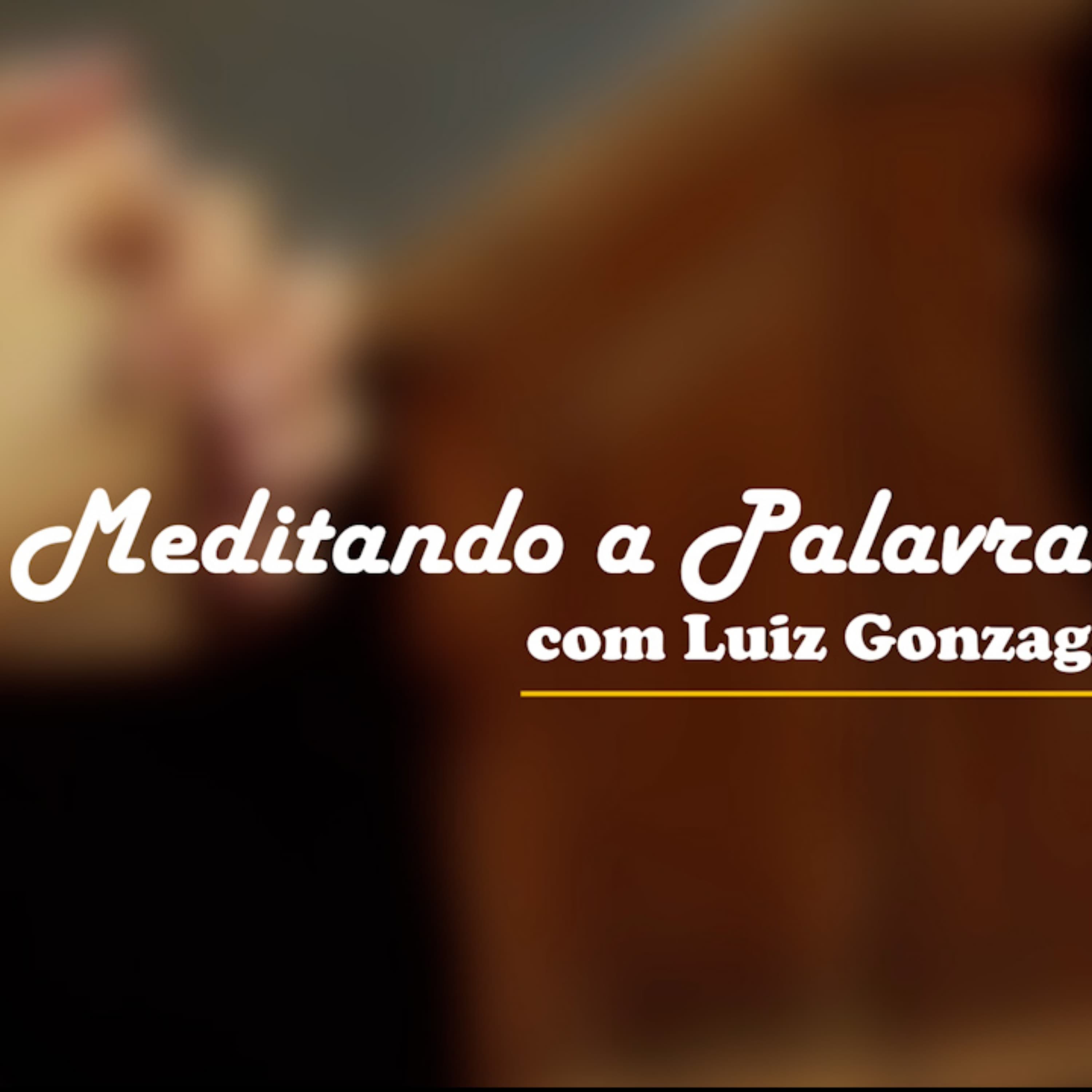 Cover image of Meditando a Palavra com Luiz Gonzaga podcast