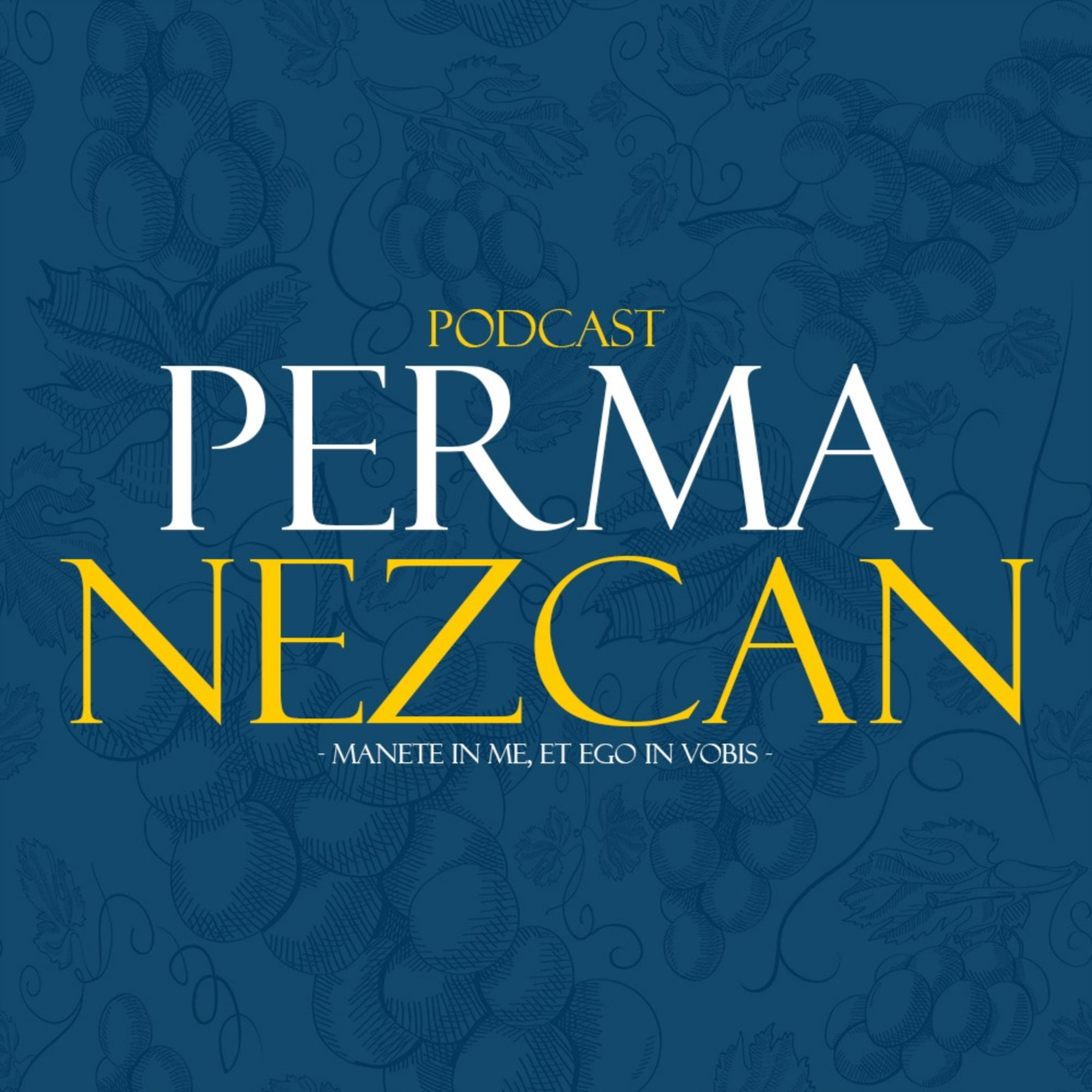 Cover image of Permanezcan podcast