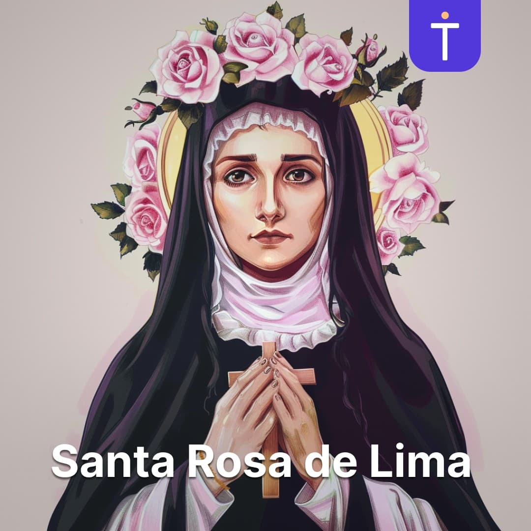 Cover image of Santa Rosa de Lima