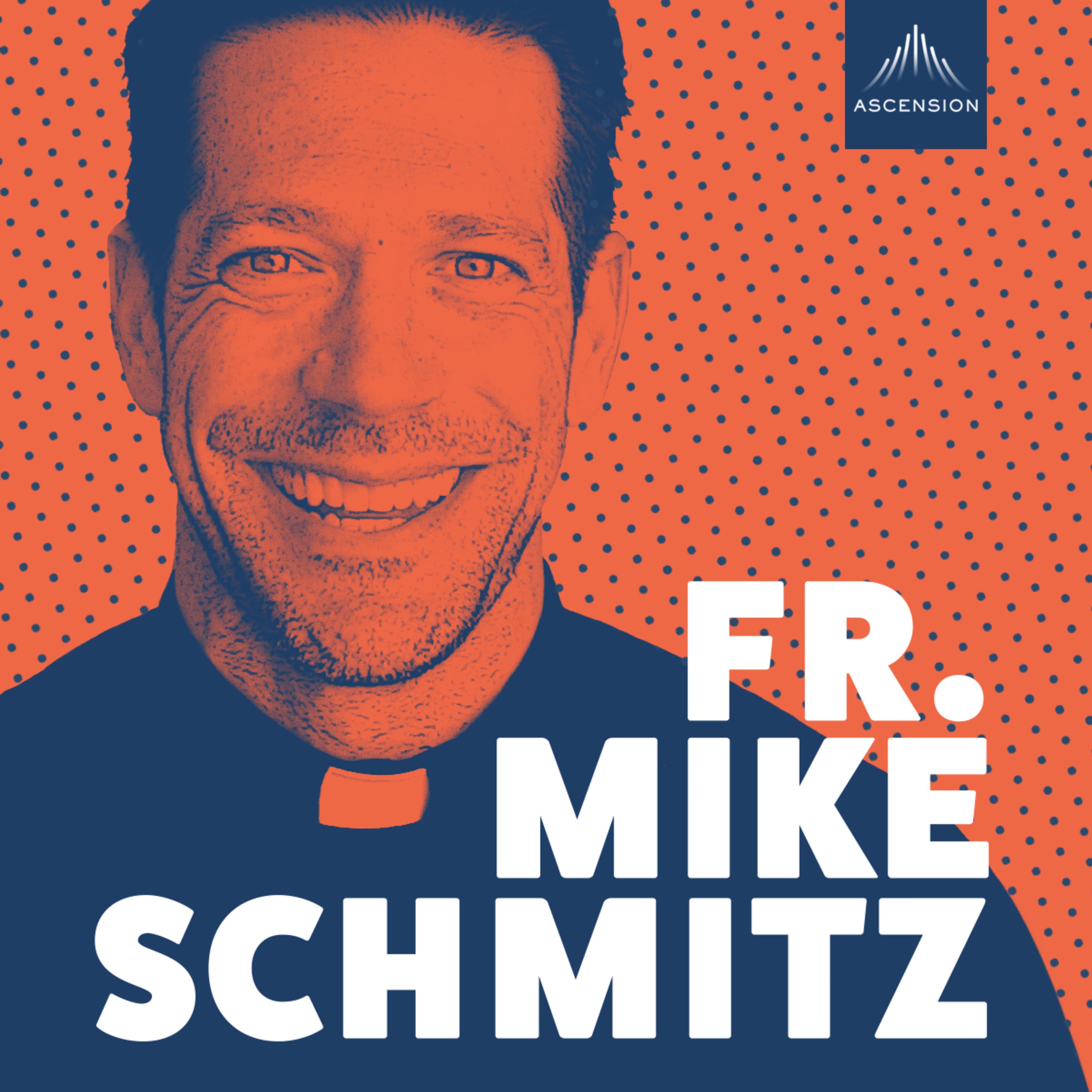 Cover image of The Fr. Mike Schmitz Catholic Podcast channel