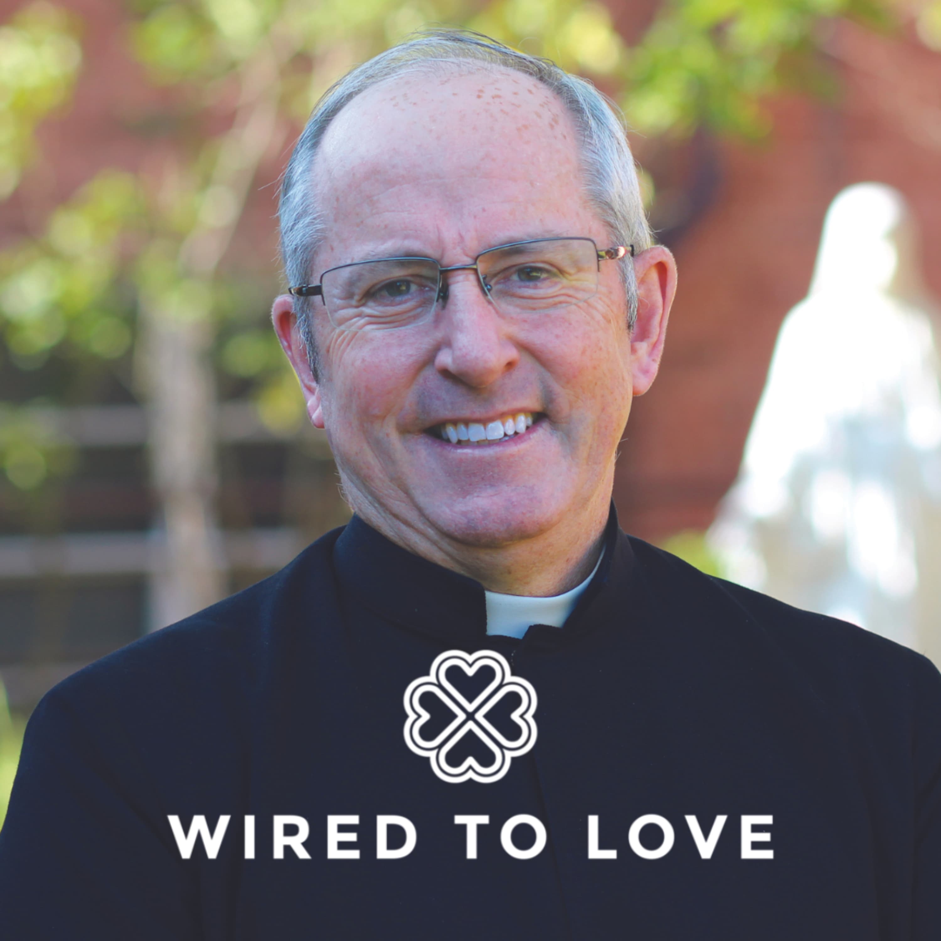 Cover image of Wired to Love channel