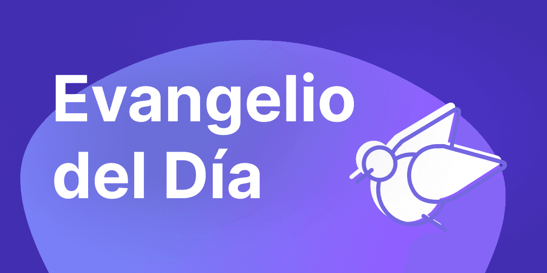 Cover image of Evangelio del Día