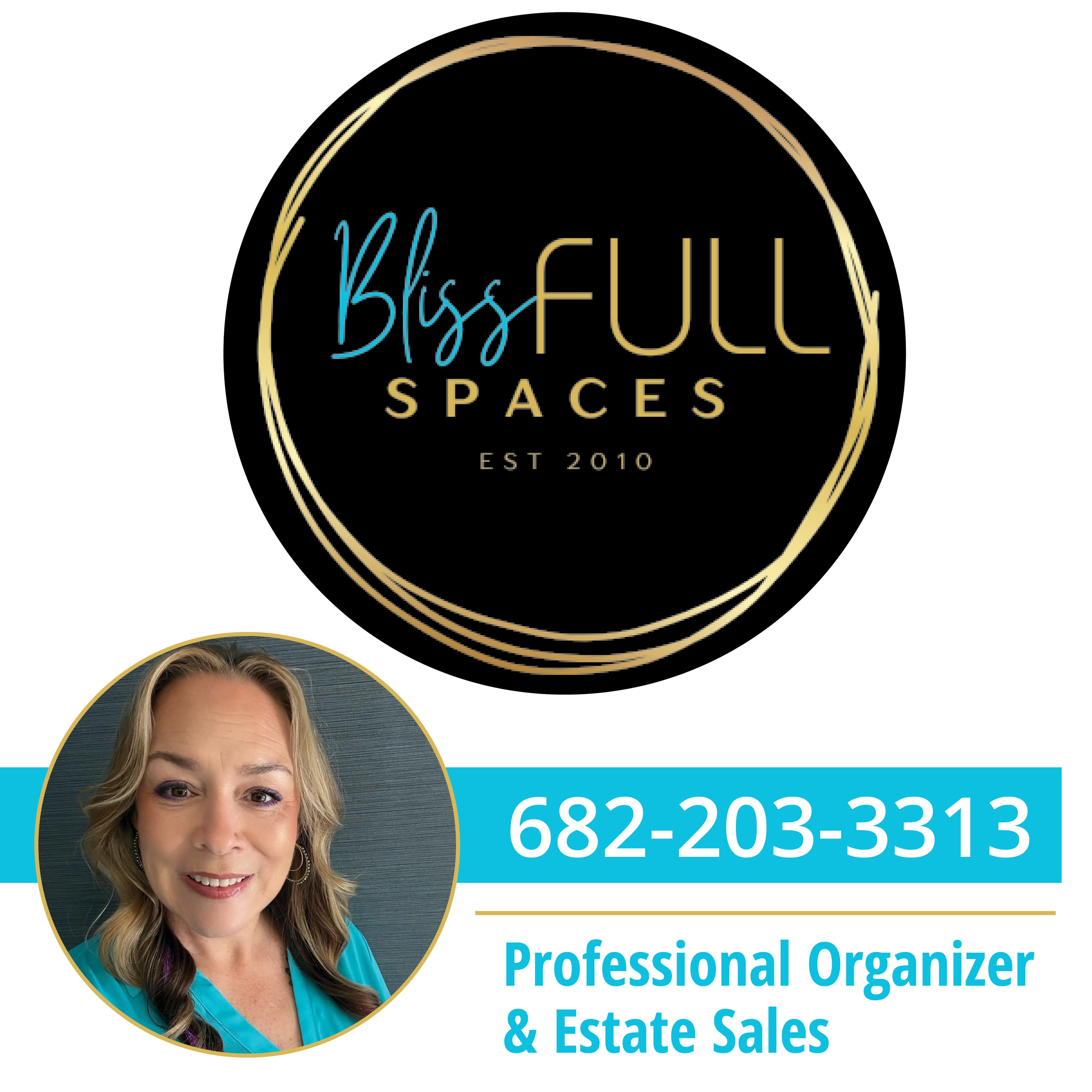 Cover image of Blissful Spaces company