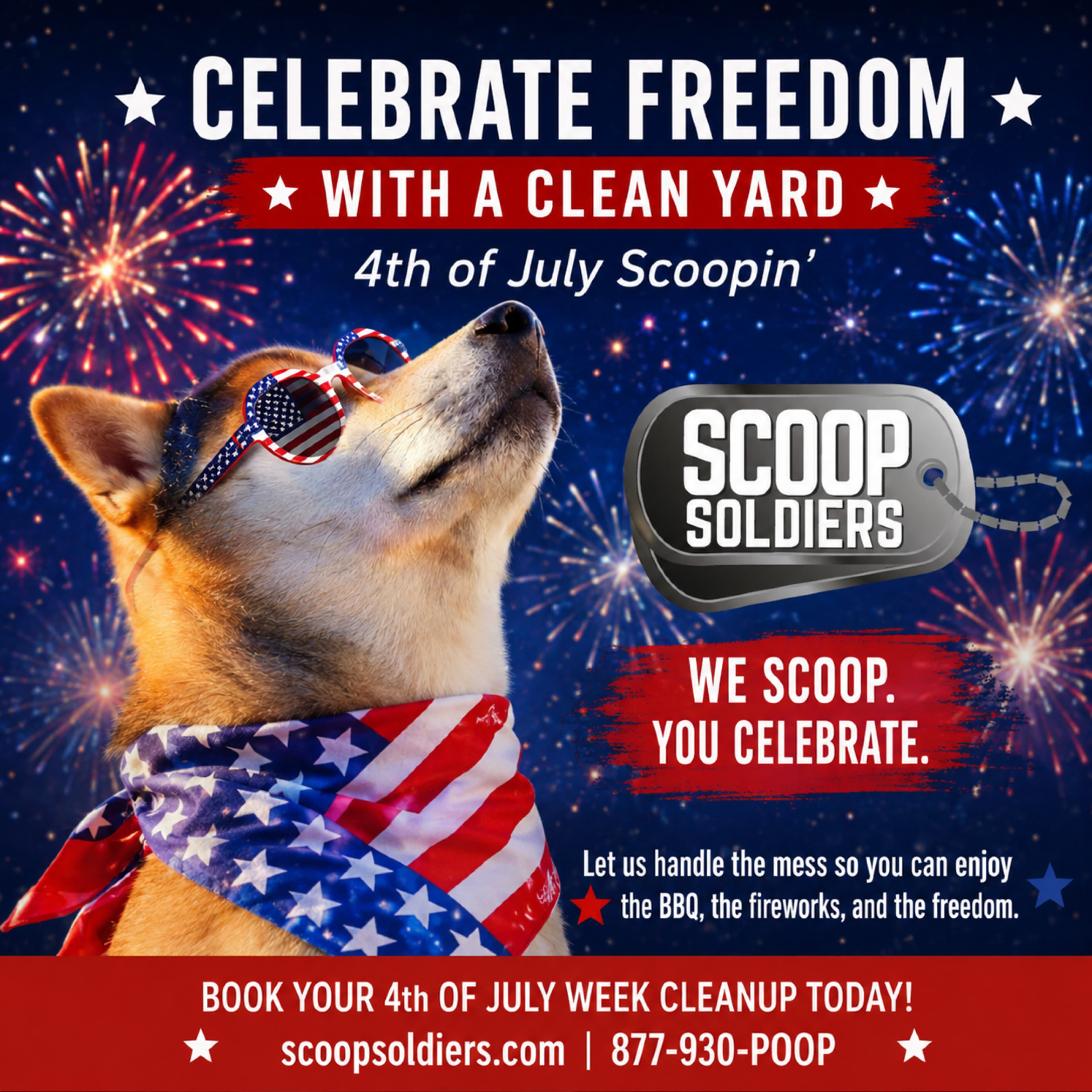 Cover image of Scoop Soldiers company