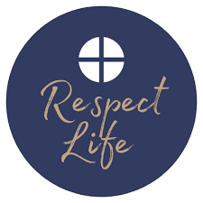 Cover image of Respect Life