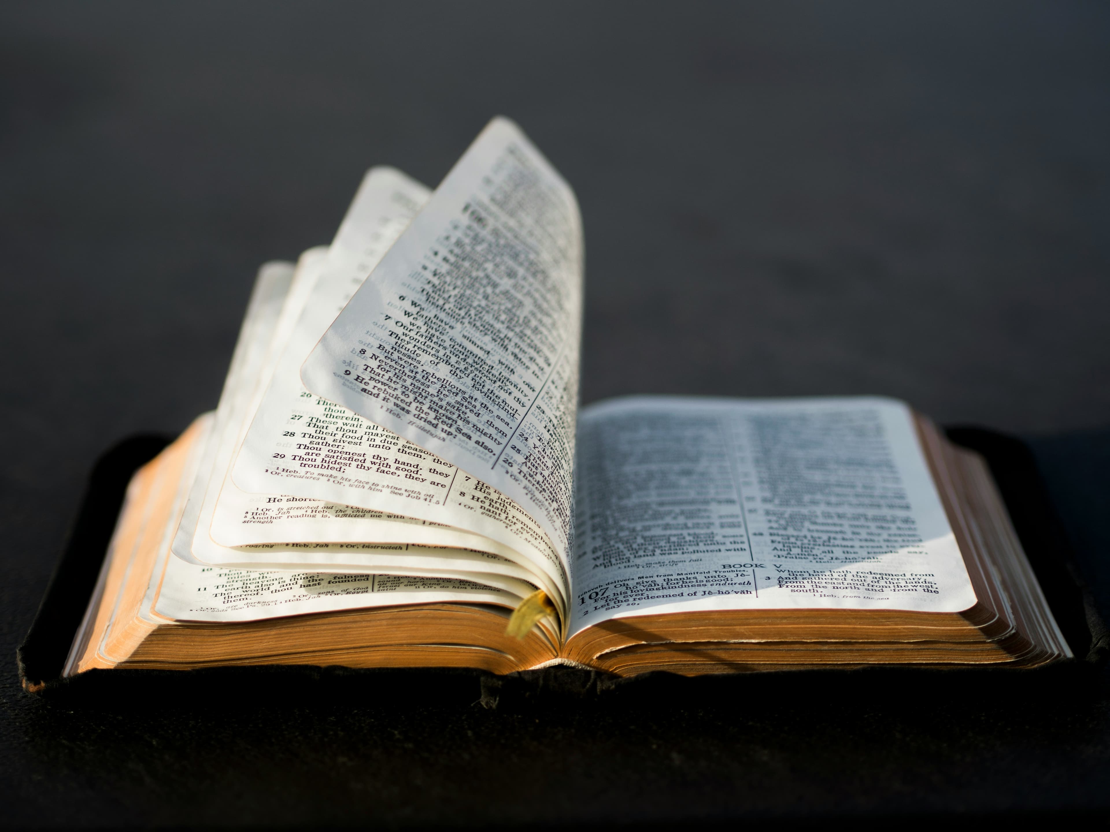 Cover image of Prayer Group