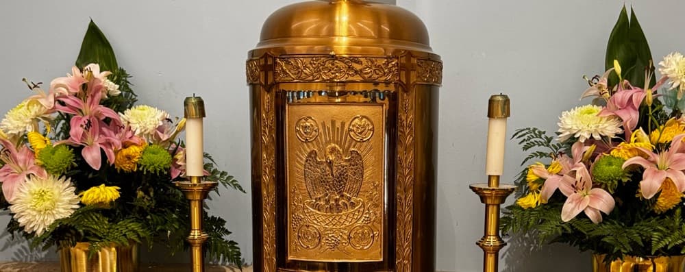 Cover image of Ministros Extraordinarios de la Sagrada Comunión 