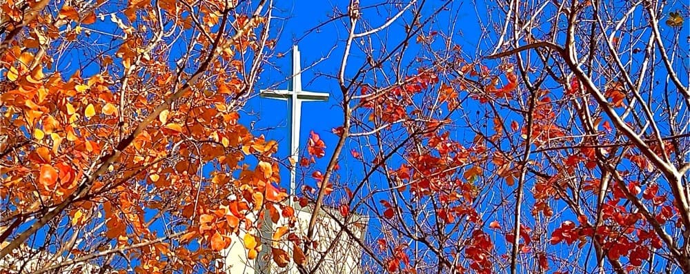 Cover image of Holy Cross Catholic Parish community
