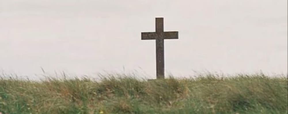 Cover image of Young Adults