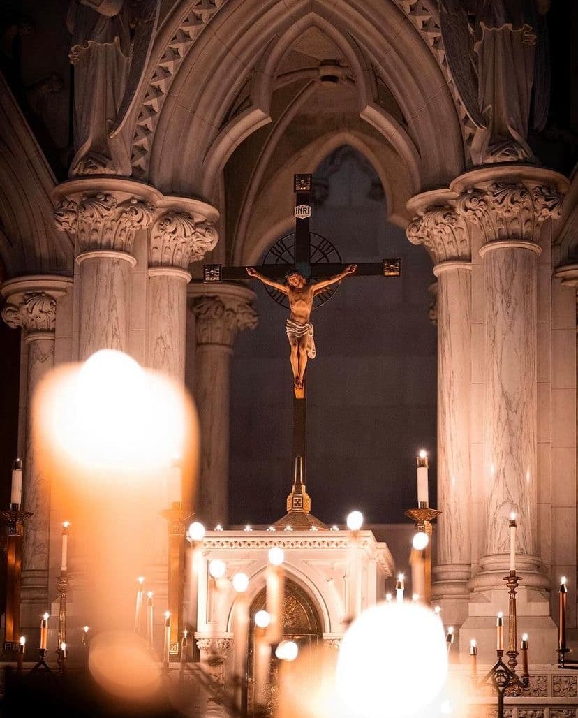 Cover image of Acolytes