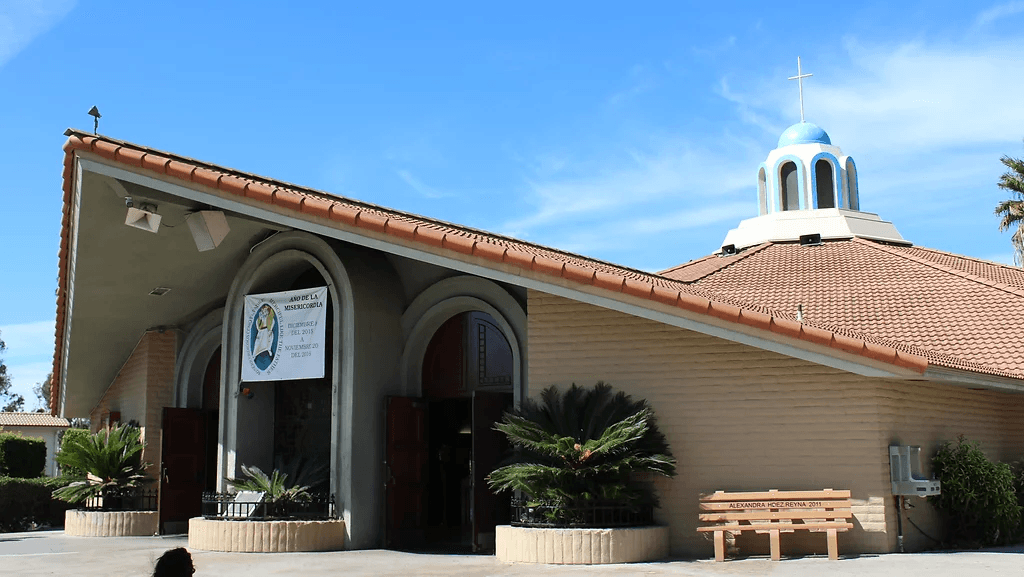Cover image of Our Lady of Mount Carmel community