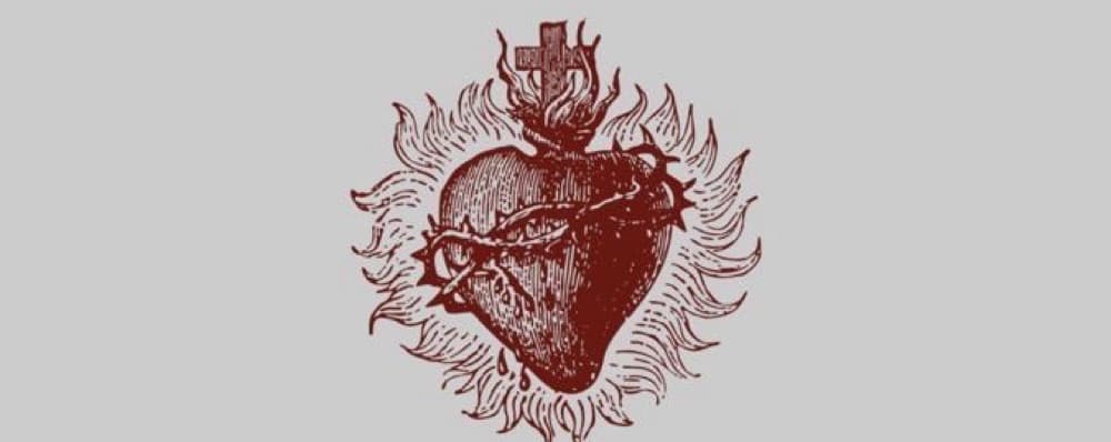 Cover image of Lectores