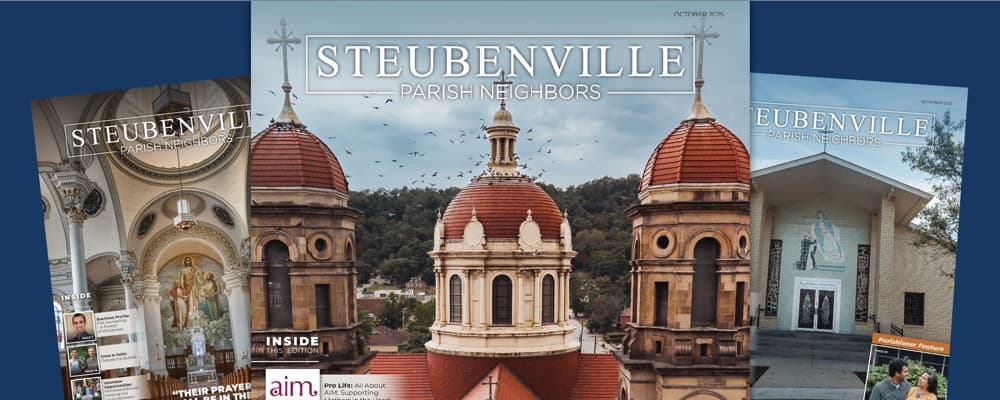 Cover image of Steubenville Parish Neighbors community