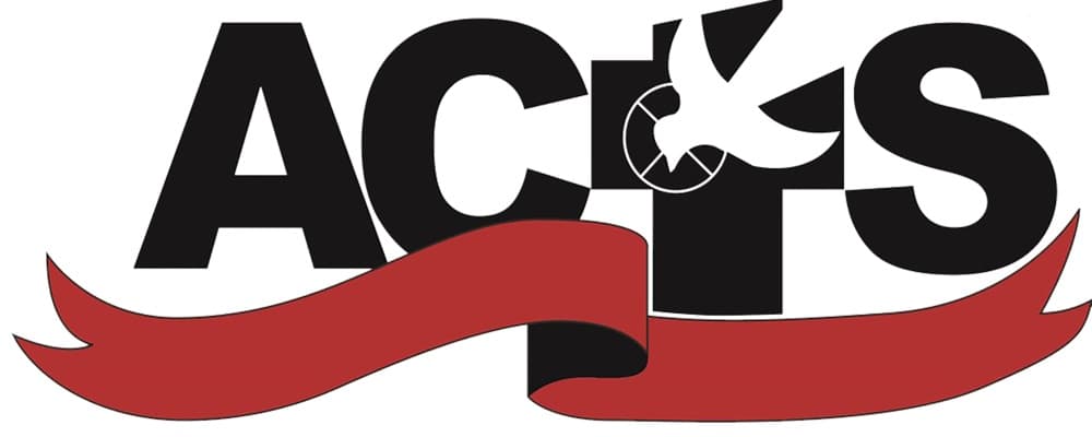 Cover image of ACTS
