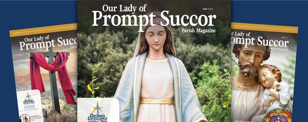 Cover image of Our Lady of Prompt Succor community