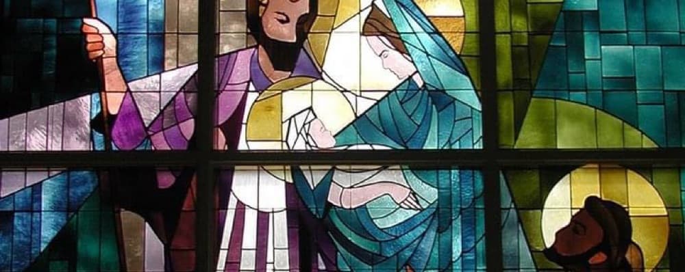 Cover image of St. Francis of Assisi