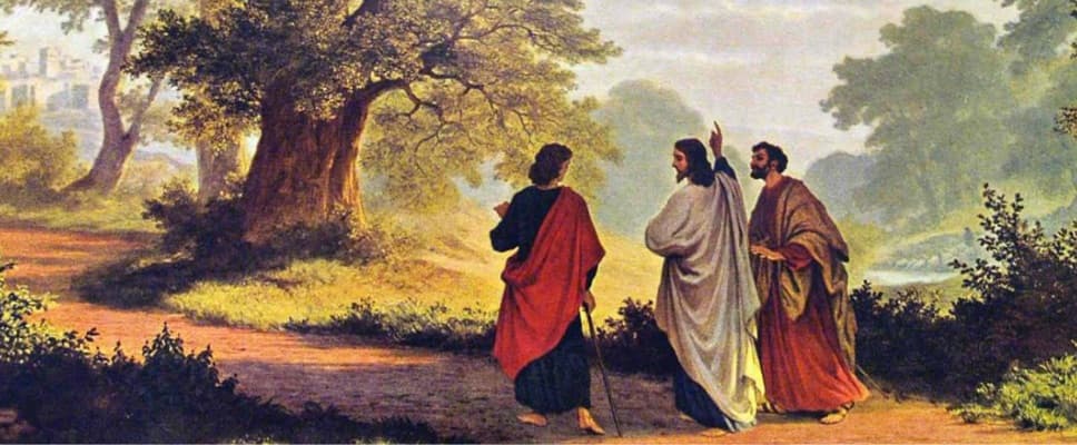Cover image of St. John Paul II OCIA