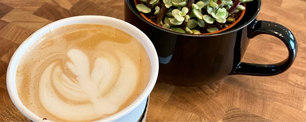 Cover image of Live Oak Cafe