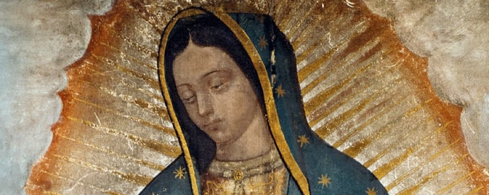 Cover image of San Juan Pablo II Ministero Hispano