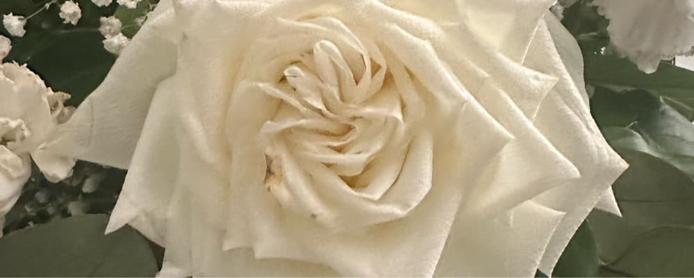 Cover image of Sub Group 1