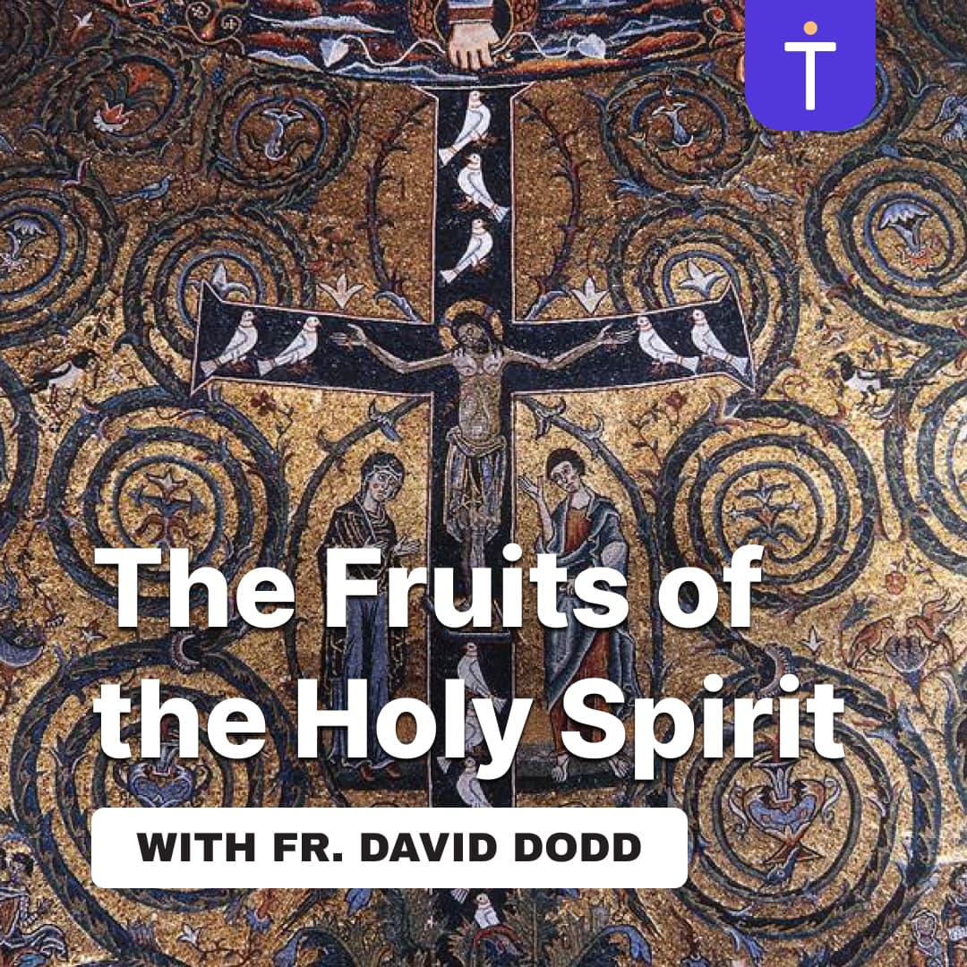 Cover image of Identity Reclaimed: The Fruits of the Holy Spirit podcast