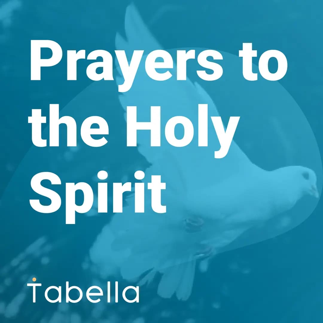 Post image Post image