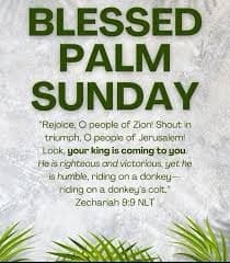 Post image Post image