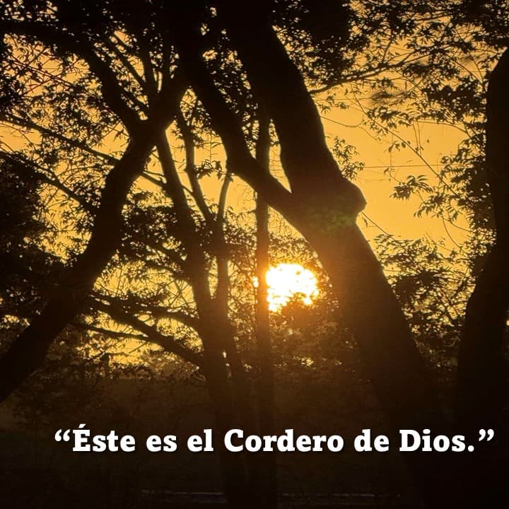 Post image Post image