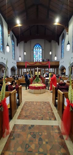 Cover image of Church of St. Francis of Assisi community Cover image of Church of St. Francis of Assisi community