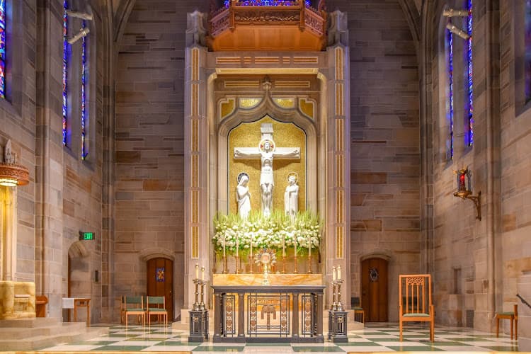 Cover image of Cathedral of Christ the King community Cover image of Cathedral of Christ the King community