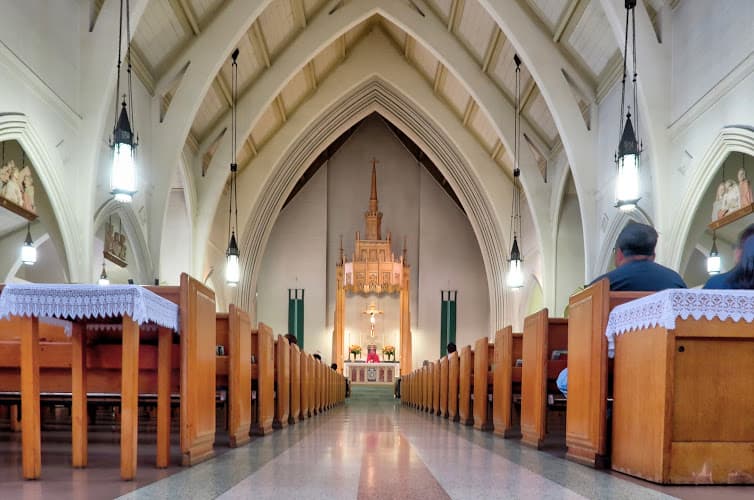 Cover image of St. Augustine Catholic Church community Cover image of St. Augustine Catholic Church community