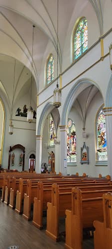 Cover image of Saint Teresa of Avila community Cover image of Saint Teresa of Avila community