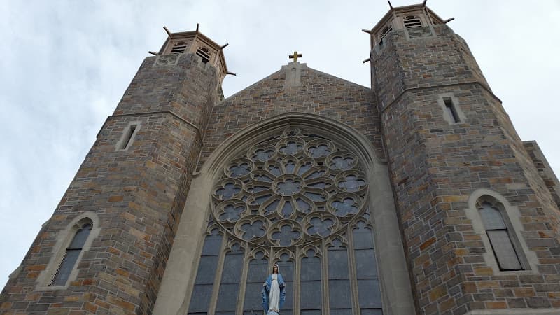 Cover image of Saint Thomas Aquinas community Cover image of Saint Thomas Aquinas community