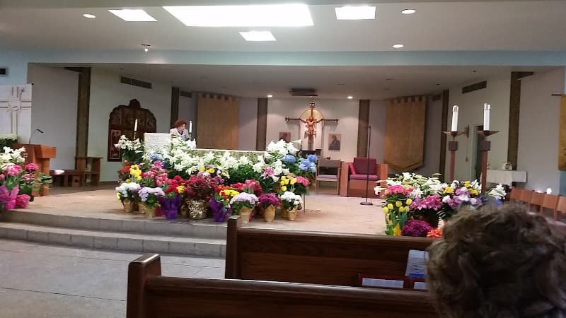 Cover image of St. Frances Cabrini community Cover image of St. Frances Cabrini community