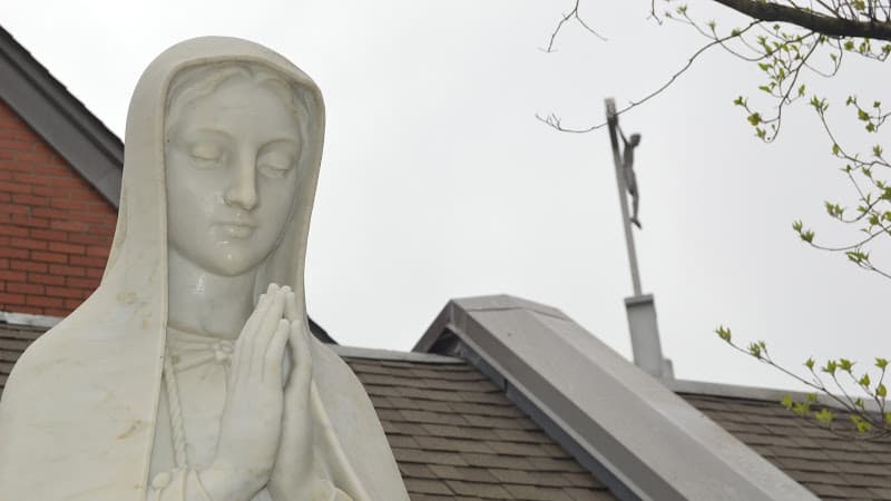 Cover image of Our Lady of Fatima community Cover image of Our Lady of Fatima community