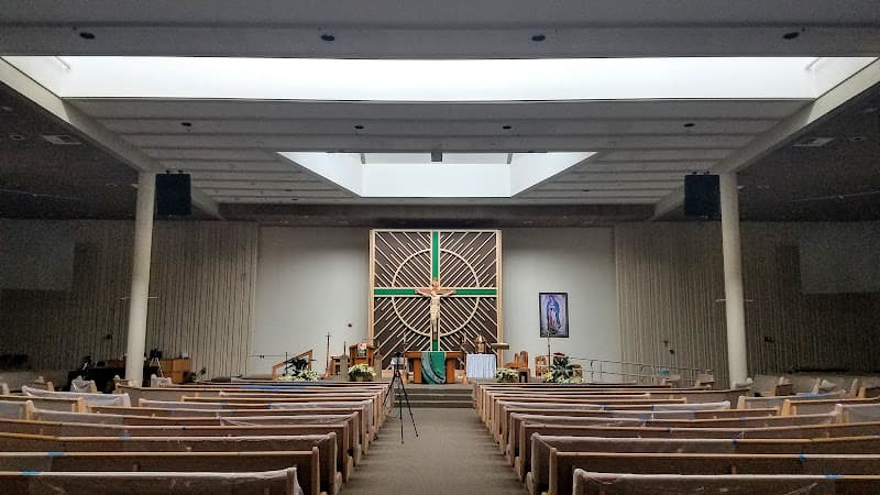 Cover image of St. Stephen the Martyr Catholic Church community Cover image of St. Stephen the Martyr Catholic Church community