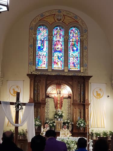 Cover image of Christ the King Catholic Church community Cover image of Christ the King Catholic Church community