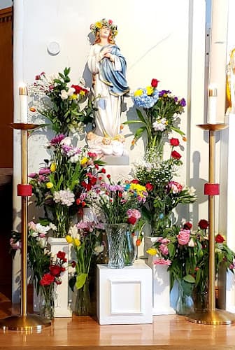 Cover image of Saint Stanislaus community Cover image of Saint Stanislaus community