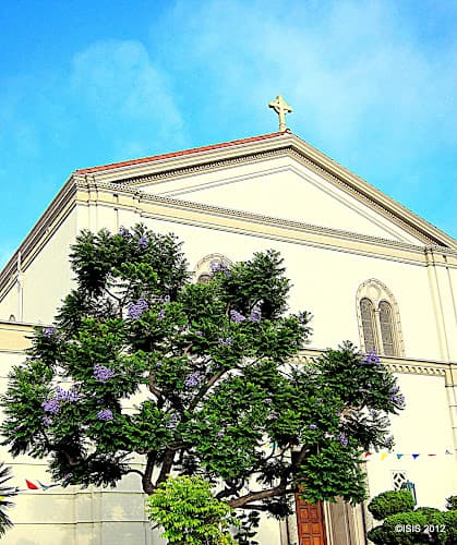 Cover image of St. Paul Catholic Church community Cover image of St. Paul Catholic Church community