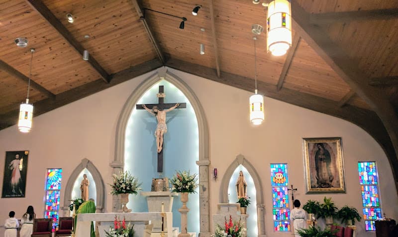 Cover image of St. Monica Catholic Church community Cover image of St. Monica Catholic Church community